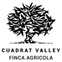 cuadrat-logo