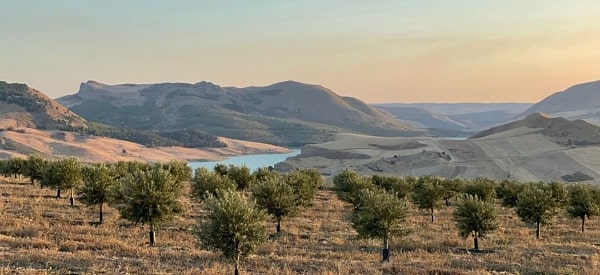 Olivové háje a jezero Garcia na Sicílii